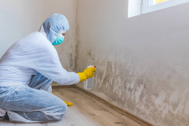 Licensed Mold Remediation service in Franklin, MI - 24 Hour Mold Removal
