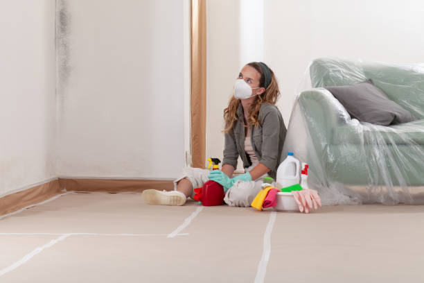 Reliable Mold Remediation contractor in Franklin, MI by 24 Hour Mold Removal