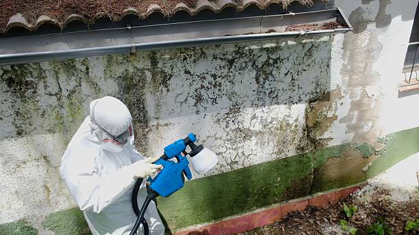 Top rated local Mold Remediation specialists in Franklin, MI